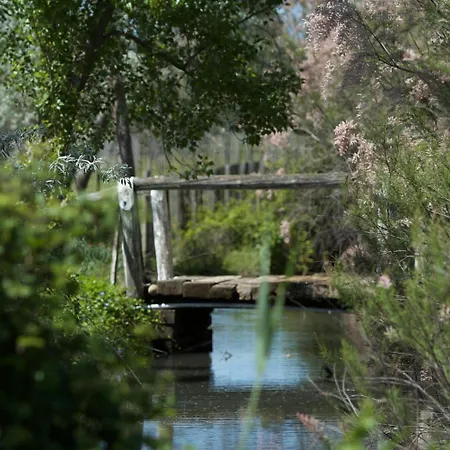 Otel Des Etuves Montpellier