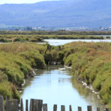 Des Etuves Otel Montpellier